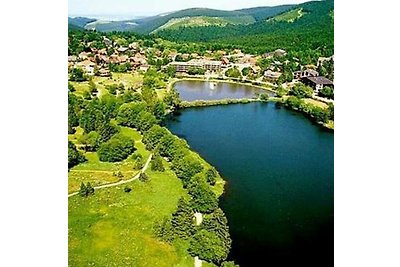 Vakantieappartement Gezinsvakantie Hahnenklee