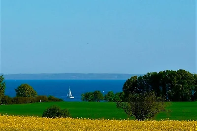 Ferienhaus Marina II - Whg. 4