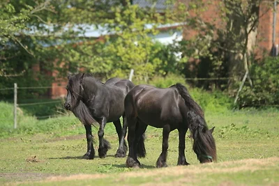 Casa vacanze Vacanza di relax Eckernförde