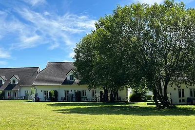 Haus Zingst 27b
