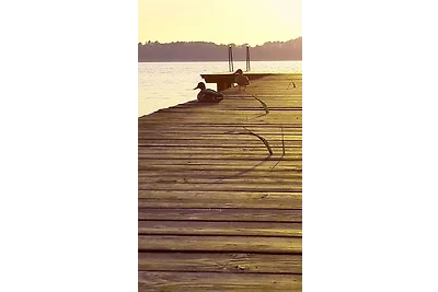Ferienwohnung am Malchiner See mit