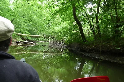 Vakantieappartement Gezinsvakantie Reimershagen