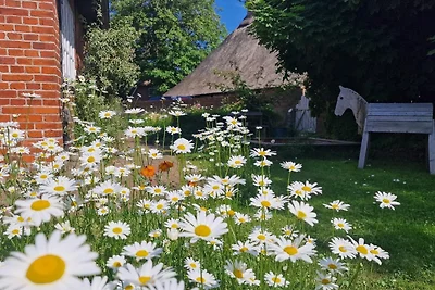 Appartamento Vacanza con famiglia Riepsdorf