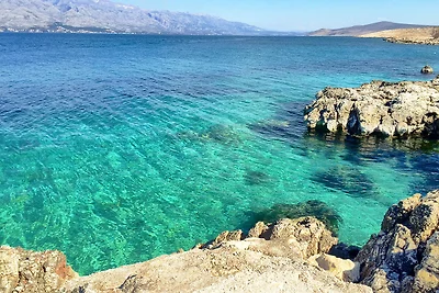 Atrium Blue Holiday House D