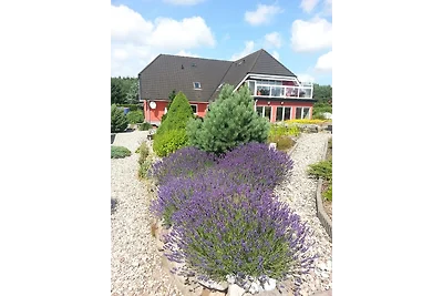 Vakantieappartement Gezinsvakantie Sehlen