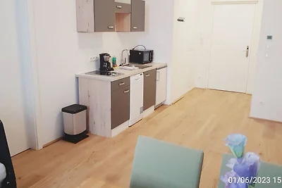 Innenstadt Apartm. A15 mit Klima