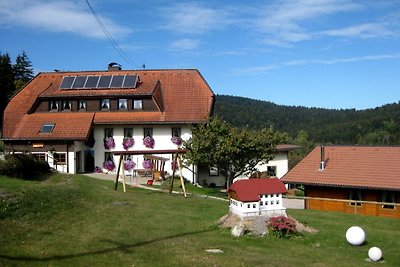 Vakantieappartement Gezinsvakantie Dachsberg