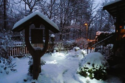 4 Personen Ferienwohnung im Wald