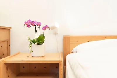 Chesa Michel - Studio Grisch