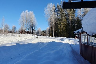 Vakantiehuis Ontspannende vakantie Torsby