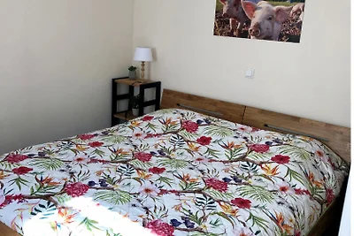 Ferienhof Frohne - Grosser