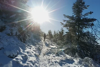 apartman za odmor Obiteljski odmor Baiersbronn