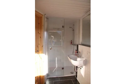 Vakantiehuis Ontspannende vakantie Bernau im Schwarzwald