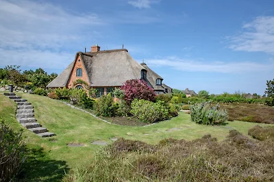 Ferienhaus Hobokenweg 25 b