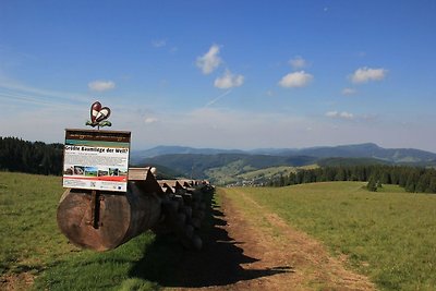 Vakantieappartement Gezinsvakantie Todtnau