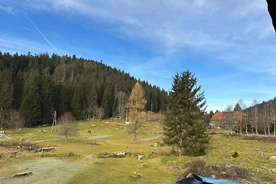 Appartamento Vacanza con famiglia Schluchsee