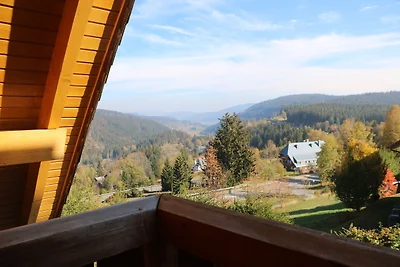 Appartamento Vacanza con famiglia Feldberg