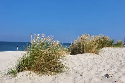 Casa vacanze Vacanza di relax Tetenbüll