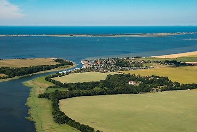 Vakantieappartement Gezinsvakantie Schaprode