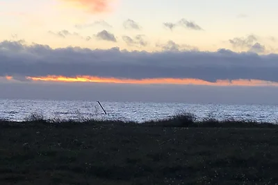 Ferienhaus Schäferhund