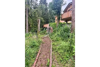 Wald ist Zukunft [Baumhaus Biene]