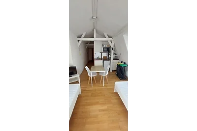 Wombat (1-2 Personen)