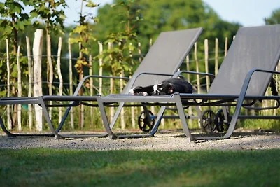 Traumkrone Ferienwohnungen -