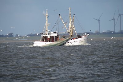 Hus op de Wurth Nr. 17