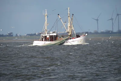 Hus op de Wurth Nr. 17