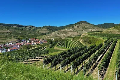 Appartamento Vacanza con famiglia Vogtsburg im Kaiserstuhl