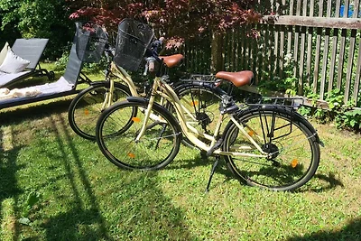 Haus Waldstein Single