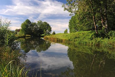 Vakantiehuis Ontspannende vakantie Weiler-Simmerberg