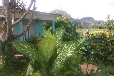 Casa Villa Aracely Appartement 1