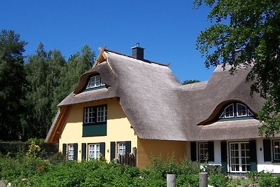 Reetgedecktes Ferienhaus