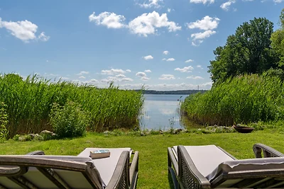 Vakantiehuis Ontspannende vakantie Peel an Maas