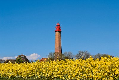 Sonnenschein