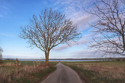 AHOI Salzhaff