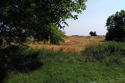 Tiny House, Tiny Haus