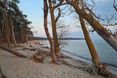 Casa vacanze Vacanza di relax Bergen auf Rügen