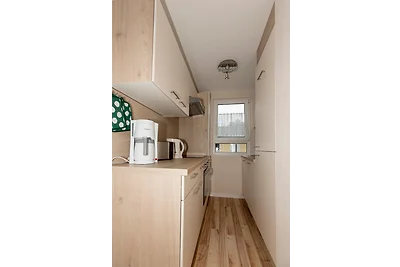 Ferienhaus Zauneidechse im