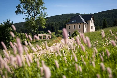 Alte Försterei Wildenthal am