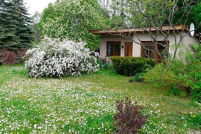 Ferienhaus am Krakower See