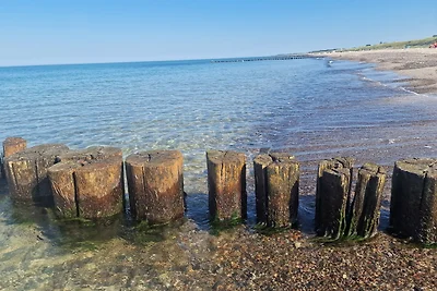 Käpt´n Brass App. 2 "Leinenlos im