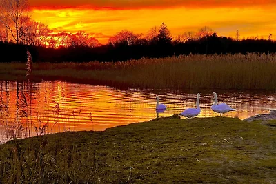 Vakantieappartement Gezinsvakantie Selk