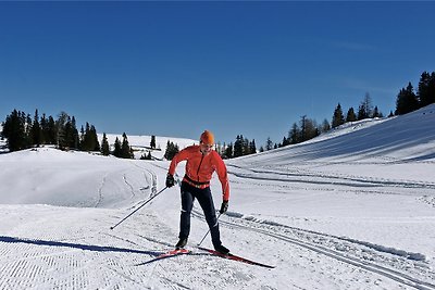 Appartamento Vacanza con famiglia Kremsbrücke