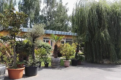 Appartamento Vacanza con famiglia Dresden vicinity