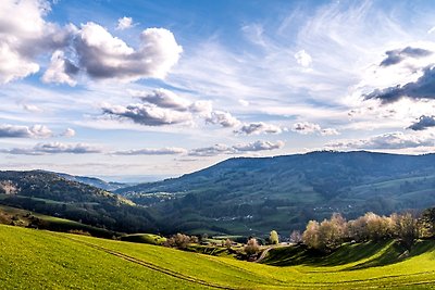 Appartamento Vacanza con famiglia Fröhnd