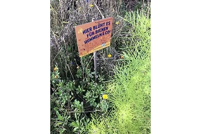 Meeresperle 4 Meerjungfrau