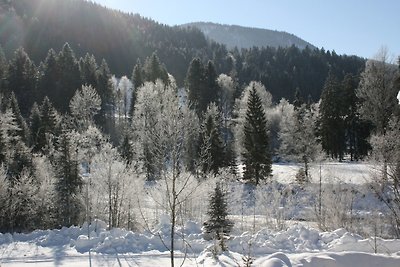 Vakantieappartement Gezinsvakantie Reit im Winkl