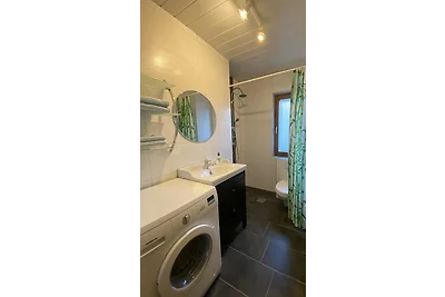 Ferien- und Messeappartement Falke